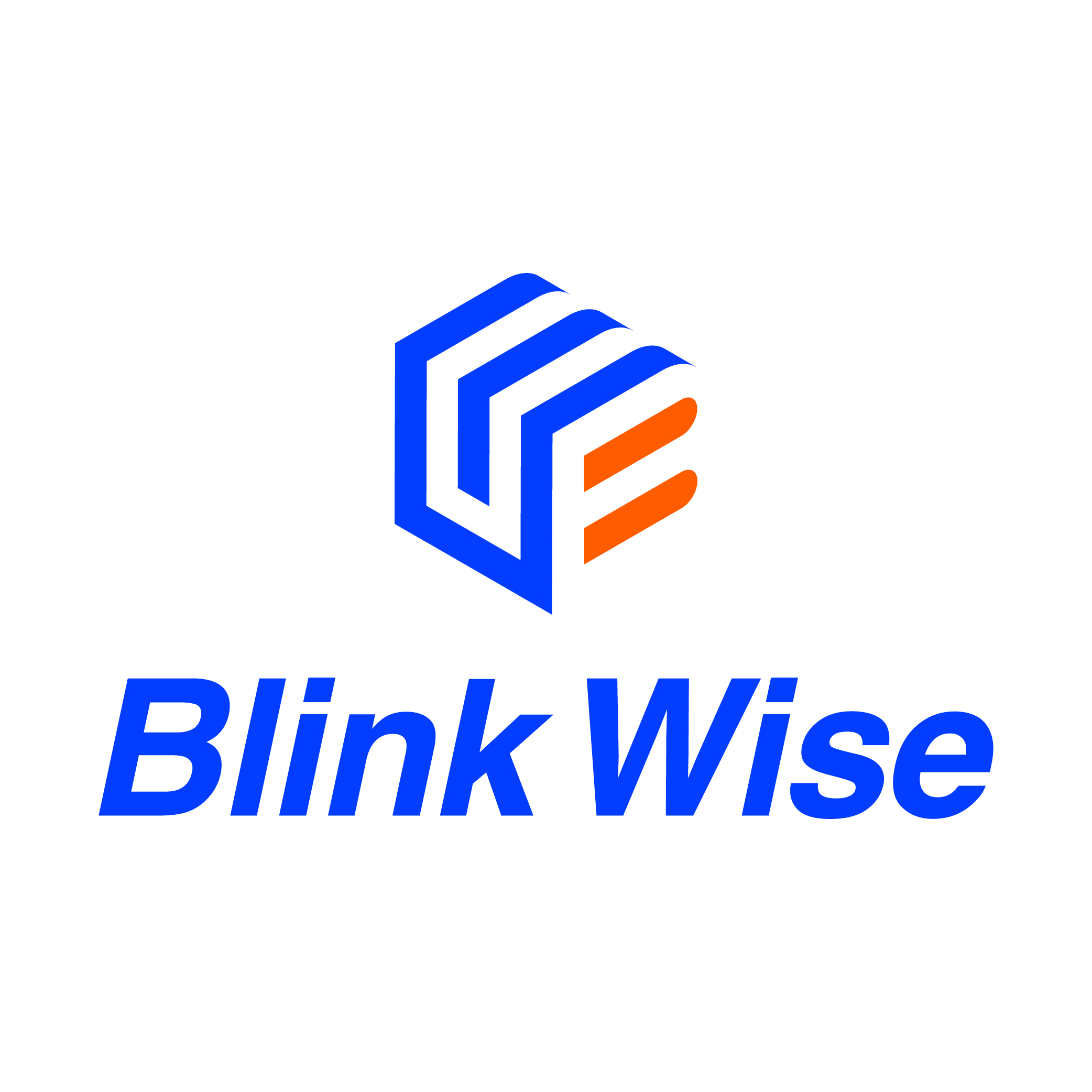 Blink Wise