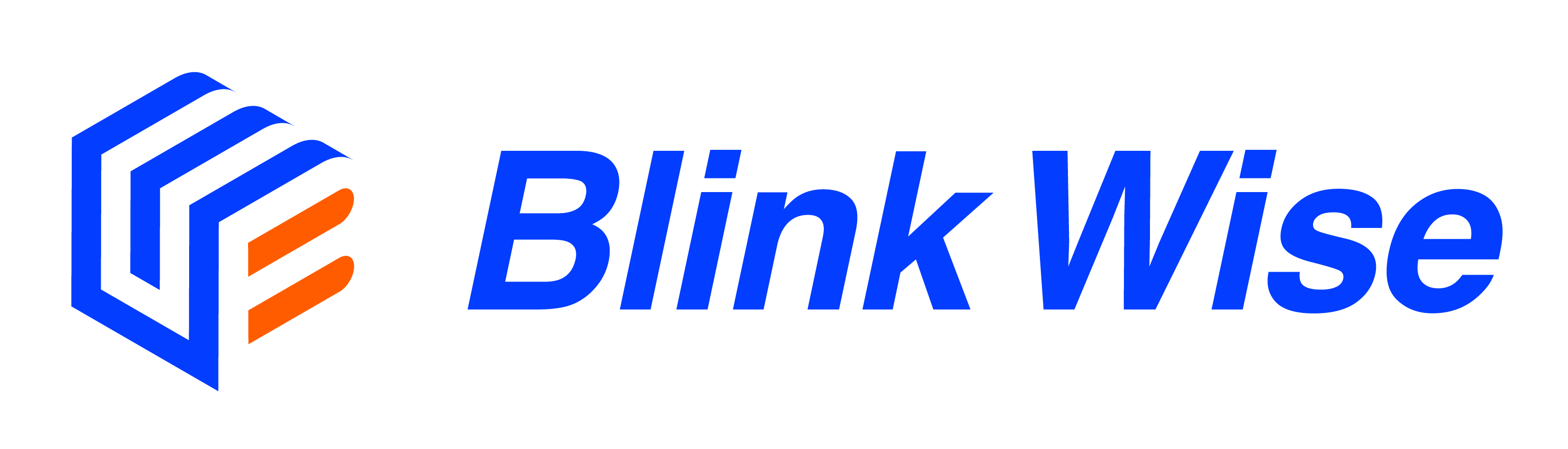 Blink Wise
